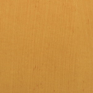 X[G 3M _CmbNtB WG-831 1220mmX50m WG831 [263-3780566]