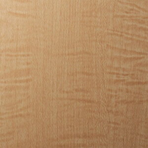 X[G 3M _CmbNtB WG-833 1220mmX50m WG833 [263-3788203]