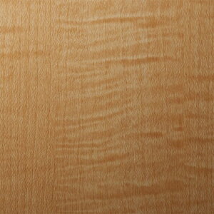 X[G 3M _CmbNtB WG-832 1220mmX50m WG832 [263-3798158]