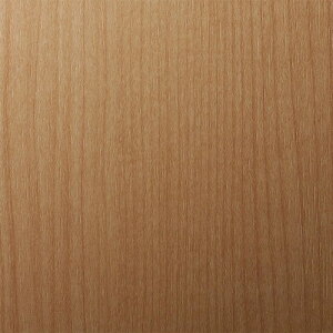 X[G 3M _CmbNtB WG-835 1220mmX50m WG835 [263-3806242]