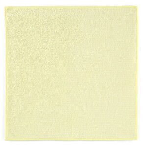 �P���q���[�W���p�� �y�ʓr�����z �y�l��s�z KARCHER �}�C�N���t�@�C�o�[�N���X �� 40 X 40 cm 5���� 9.212-056.0 [264-340163]