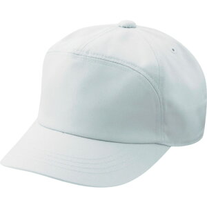 ~hS yALbv TC01 Vo[O[ L TC01-L [267-614315]