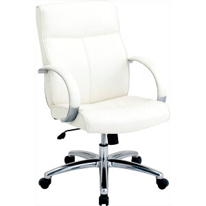 iJoV GO[NeBu`FA RZE-A210W [274-203678]