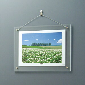 iJoV ANNAt[/nMO^Cv/A4 t-ACH-A4 [274-854418]