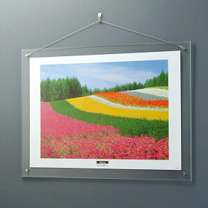 iJoV ANNAt[/nMO^Cv/A2 t-ACH-A2 [274-854449]