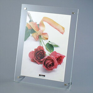 iJoV ANNAt[/X^h^Cv/A4 t-ACS-A4 [274-854616]