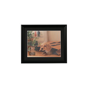 iJoV ʐ^z/Zc/ubN F-SP-108-D [274-936442]