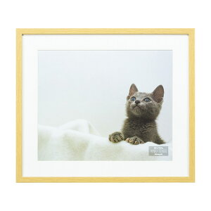 iJoV ؐʐ^z/lc/i` F-SW-115-N [274-918653]