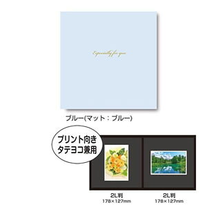 iJoV ʐ^䎆/XNGA/2LTCY/u[ VM2L-301-B [274-329671]