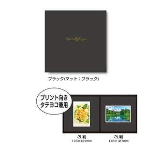 iJoV ʐ^䎆/XNGA/2LTCY/ubN VM2L-301-D [274-329695]