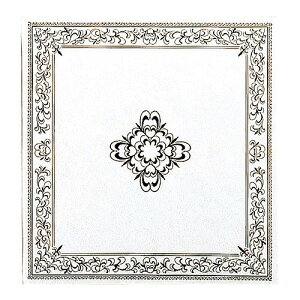 iJoV tGAo STCY  A-SF-5A [274-331919]