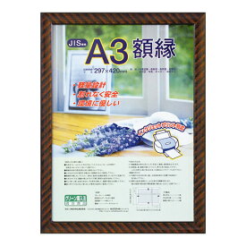 ナカバヤシ 樹脂製賞状額 金ラック A3 フ-KWP-20/V [274-844396]