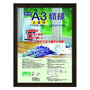 iJoV ܏z bN  t-KWP-21/V [274-844402]