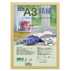 ナカバヤシ 樹脂製軽量額縁 木地 A3 フ-KWP-60/V [274-847786]
