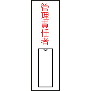 {Ώ\ (w)W ǗӔC(c) 100×30mm Gr  046015[279-061670]