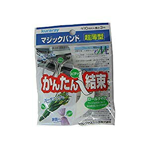 ^JCN }WbNe[v ^}WbNoh 10mm×3m zCg G-821 [284-101782]