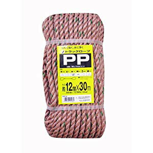 ^JCN [v PPgbN[viOBj 12×30 TRP6 [284-220285]