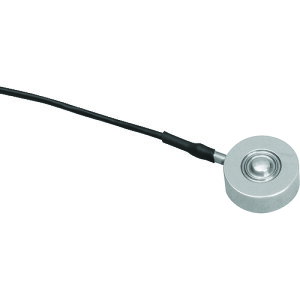 G[EAhEfC AND AD {^^[hZ LCC21N100 LCC21N100 [297-612166]