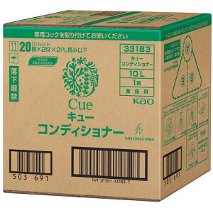 ԉ Kao ƖpL[ RfBVi[ 10L 331830 [301-331830]