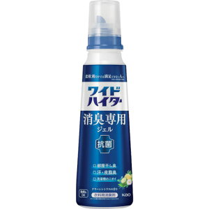 ԉ Kao y12̔zChnC^[ LpWF O[VgX̍ { 405166 [301-405166]