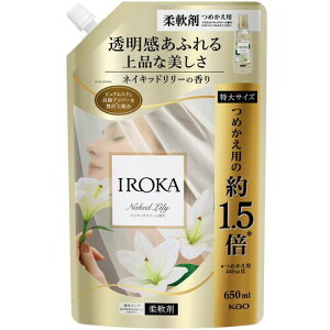 ԉ Kao y15̔z_ IROKA lCLbh[ XpEg 650ml 437341 [301-437341]