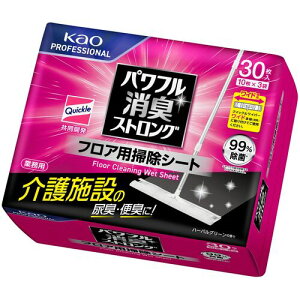 ԉ Kao y4̔zptLXgO tAp|V[g 30i10x3j Ɩp 447203 [301-447203]