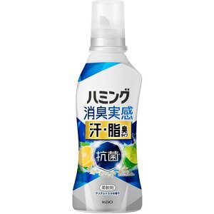 ԉ Kao y12̔z_d n~OL EL^Cv NAVgX { 500ml 450395 [301-450395]