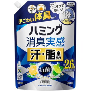 ԉ Kao y6̔z_d n~OL EL^Cv NAVgX 930ml 450418 [301-450418]