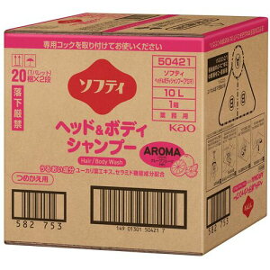 �ԉ� Kao �Ɩ��p�\�t�e�B �w�b�h���{�f�B�V�����v�[ �A���} 10L 504210 [301-504210]