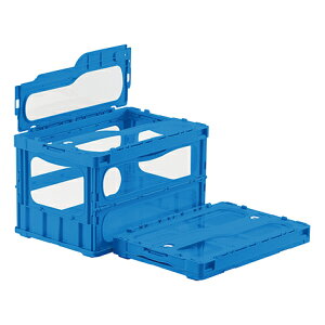 TJG SAKAE yʓrz ylsz TJGIWiFt܂肽݃Rei[CL-50TMAO SNCL50TMAO [313-00044441]