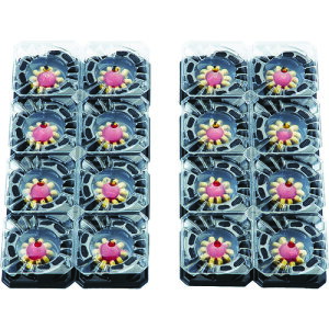 A[X A[X E SLuzE__S RNSLW 205216 [331-205216]