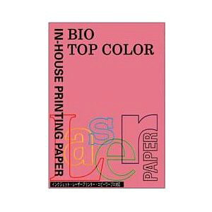 ɓ oCIgbvJ[A4i100j [32228] BT104 sN [342-005745]