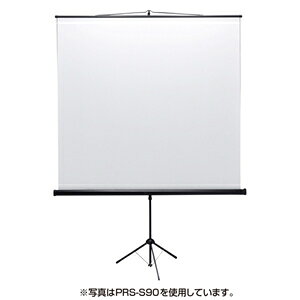 TTvC yʓrz vWFN^[XN[(Or) PRS-S80 PRS-S80 [444-630198]