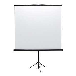 TTvC yʓrz vWFN^[XN[(Or) PRS-S90 PRS-S90 [444-630204]