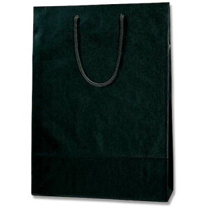 �V���W�} HEIKO ��񂰎��� �J���[�`���[���o�b�O �� 2�� 10������ 005310114 [452-522082]