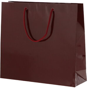 �V���W�} HEIKO ��񂰎��� �u���C�g�o�b�O GM �G���W 10������ 006137902 [452-558838]