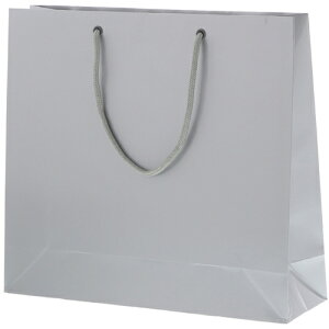 �V���W�} HEIKO ��񂰎��� �u���C�g�o�b�O GM �� 10������ 006137904 [452-558852]