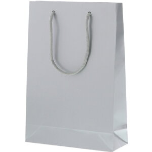 �V���W�} HEIKO ��񂰎��� �u���C�g�o�b�O SWT �� 10������ 006138204 [452-558968]