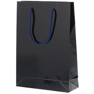 VW} HEIKO 񂰎 uCgobO SWT  10 006138223 [452-559279]