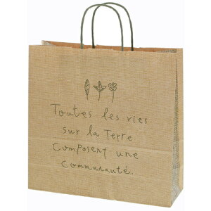 VW} HEIKO 񂰎 25`[obO 3 ie[ G 50 003253101 [452-344073]