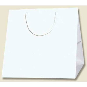 VW} HEIKO 񂰎 uCgobO  C0 10 006459400 [452-590647]