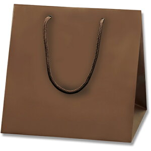 VW} HEIKO 񂰎 uCgobO `RuEiMTj C2 10 006459602 [452-907414]