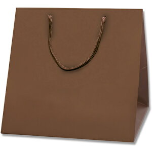 VW} HEIKO 񂰎 uCgobO `RuEiMTj C0 10 006459404 [452-907438]