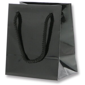 �V���W�} HEIKO ��񂰎��� �u���C�g�o�b�O �� T-5 10������ 006143301 [452-558289]