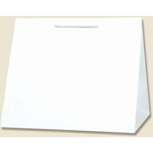 VW} HEIKO 񂰎 T^`[obO Nn W3 10 003160800 [452-339499]