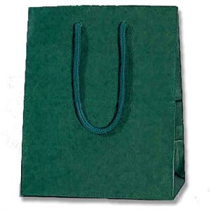 �V���W�} HEIKO ��񂰎��� �J���[�`���[���o�b�O �O���[�� 20-12 10������ 005330101 [452-523010]