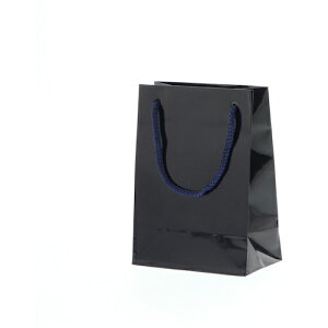 �V���W�} HEIKO ��񂰎��� �u���C�g�o�b�O ���� T-4 10������ 006142323 [452-559859]