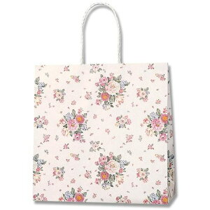 VW} HEIKO 񂰎 PX[XobO 3 [Yu[P 25 003154107 [452-358254]