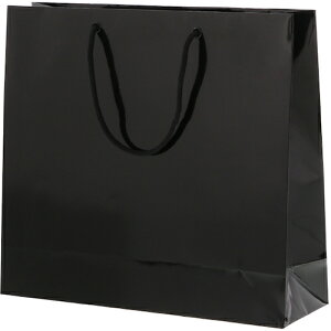 �V���W�} HEIKO ��񂰎��� �u���C�g�o�b�O �� GM 10������ 006137900 [452-558814]