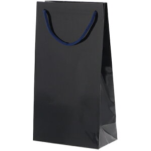 �V���W�} HEIKO ��񂰎��� �u���C�g�o�b�O ���C��2�{ ���� 10������ 006459303 [452-590616]